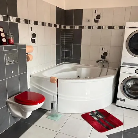 Gp House 布尔诺